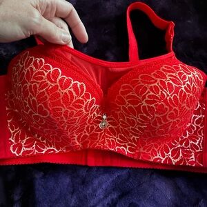 Elegant Red Lace Bra